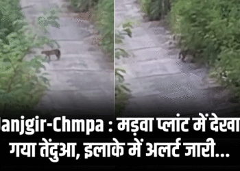 Janjgir Chmpa : मड़वा प्लांट में देखा गया तेंदुआ, इलाके में अलर्ट जारी