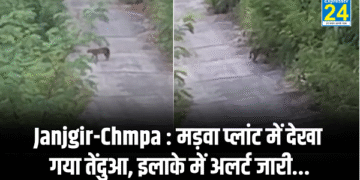 Janjgir Chmpa : मड़वा प्लांट में देखा गया तेंदुआ, इलाके में अलर्ट जारी