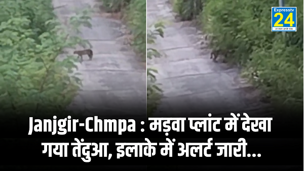 Janjgir Chmpa : मड़वा प्लांट में देखा गया तेंदुआ, इलाके में अलर्ट जारी