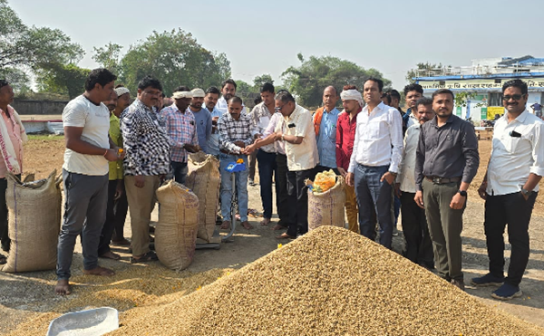 CG NEWS : आज से प्रदेश में धान खरीदी का शुभारम्भ, 7 हड़ताली कर्मचारियों पर सस्पेंसन की गाज
