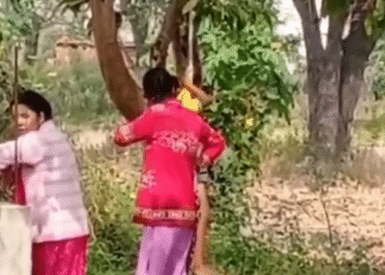 Surajpur News : मानवता हुई तार-तार, प्राइवेट स्कूल के बच्चे को दी गई तालिबानी सजा, मासूम को घण्टों पेड़ से लटकाया