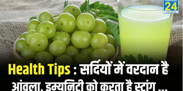 Health Tips : सर्दियों में वरदान है आंवला, इम्युनिटी को करता है स्ट्रांग …
