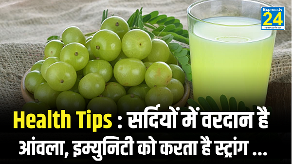 Health Tips : सर्दियों में वरदान है आंवला, इम्युनिटी को करता है स्ट्रांग …