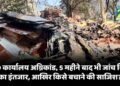 DEO कार्यालय अग्निकांड, 5 महीने बाद भी जांच रिपोर्ट का इंतजार, आखिर किसे बचाने की साजिश?