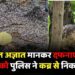 Ambikapur News