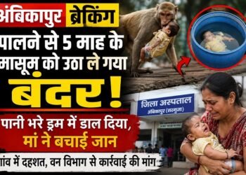 Ambikapur News