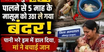 Ambikapur News